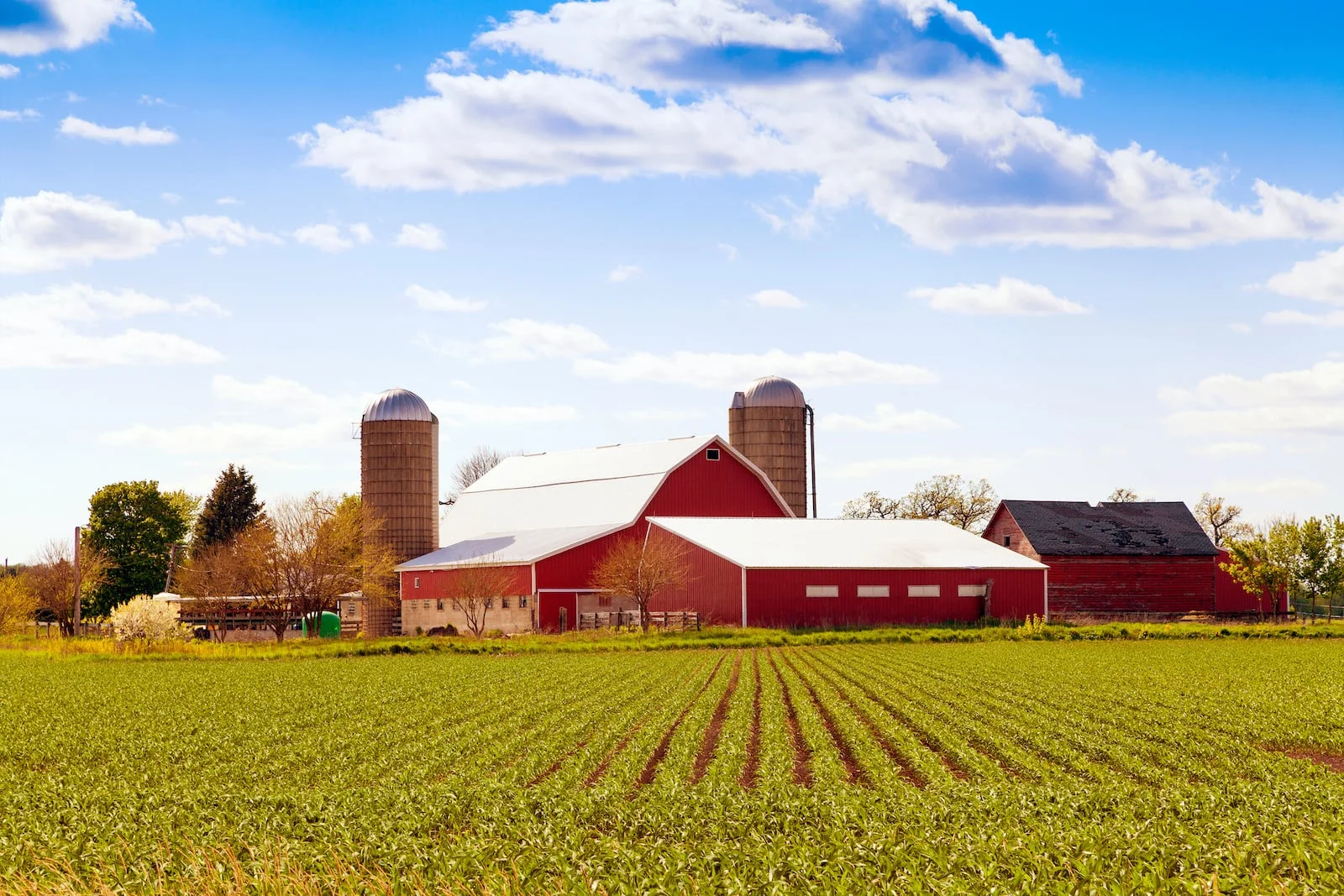 farming crops