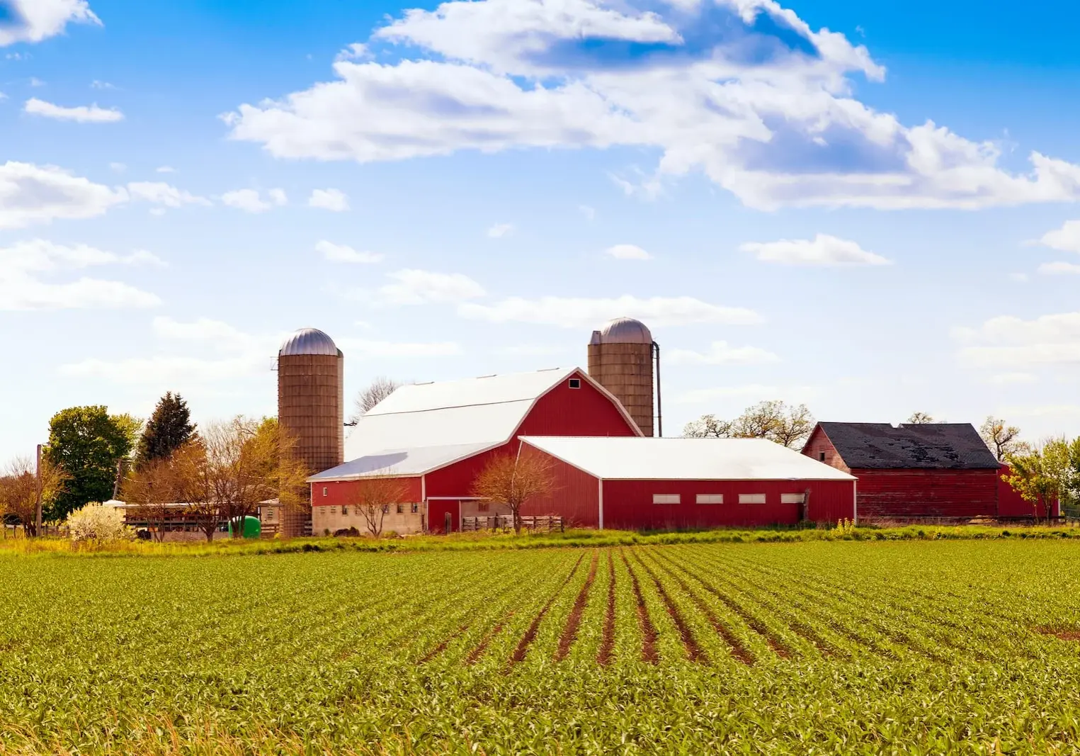farming crops
